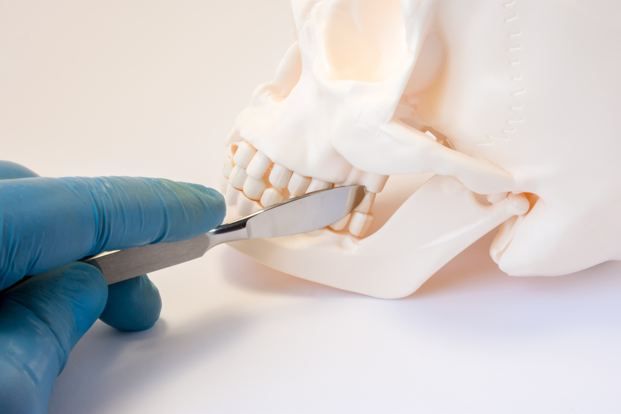 gloved hand holding scalpel near teeth on skeleton model